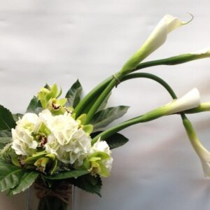 Le doux contemporain