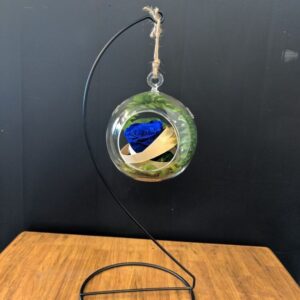 La rose éternelle suspendue