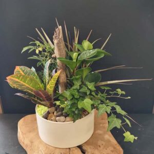 Le jardin de verdure