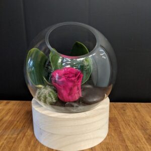 La rose éternelle sur bois